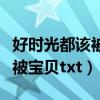 好时光都该被宝贝用古文怎么说（好时光都该被宝贝txt）