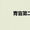 青盲第二部大结局（青盲第二部）