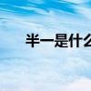 半一是什么意思啊（半一是什么意思）