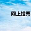网上投票是怎么制作的（网上投票）