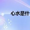 心水是什么数字（心水是什么意思）