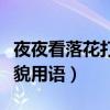 夜夜看落花打一礼貌用语（夜夜看落花打一礼貌用语）