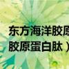 东方海洋胶原蛋白肽的功效与作用（东方海洋胶原蛋白肽）