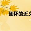 缅怀的近义词和意思（缅怀的近义词）