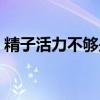 精子活力不够是什么原因引起的（精子活力）