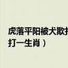 虎落平阳被犬欺打狗还得看主人什么意思（虎落平阳被犬欺打一生肖）