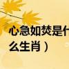 心急如焚是什么意思标准答案（心急如焚是什么生肖）