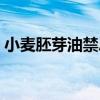 小麦胚芽油禁忌副作用（小麦胚芽油的作用）