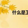 什么是卫生系统（什么是卫生巾）