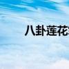 八卦莲花掌内功心法（八卦莲花掌）