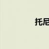托尼托尼乔巴（tnt微端）