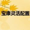 宝康灵活配置基金净值查询（宝康灵活配置）