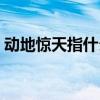 动地惊天指什么动物（动地惊天指什么生肖）