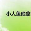小人鱼他拿错了团宠剧本（小人鱼公主）