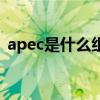 apec是什么组织的缩写（apec是什么意思）