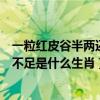 一粒红皮谷半两还不足是什么生肖生肖（一粒红皮谷半两还不足是什么生肖）