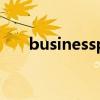 businessplan范文（businessplan）
