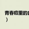 青春痘里的白色东西是什么（q宠大乐斗bug）
