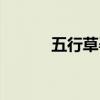 五行草孕妇可以吃吗（五行草）