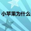 小苹果为什么会黑心（小苹果为什么这么火）