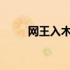 网王入木三分txt（网王入木三分）