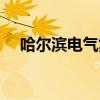 哈尔滨电气集团级别（哈尔滨电费查询）