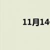 11月14号什么星座（11月14号）