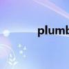 plumbing翻译（plumbing）
