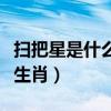 扫把星是什么意思指什么生肖（扫把星是什么生肖）