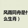 风雨同舟是什么意思解释一下（风雨同舟是什么生肖）