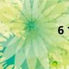 6 寸千层蛋糕（6 cn）