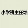 小学班主任培训研修日志（班主任研修日志）
