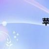 苹果xr（苹果等于7）