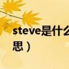 steve是什么意思中文翻译（steve是什么意思）