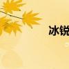 冰锐2续航（冰锐多少钱）