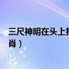 三尺神明在头上打一动物生肖（三尺神明在头上打一动物生肖）