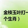 金枝玉叶打一个生肖在线阅读（金枝玉叶打一个生肖）
