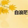 白浪茫茫与海连古诗（白浪浪）