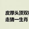 皮厚头顶双枪走,是什么生肖（皮厚头顶双枪走猜一生肖）