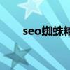 seo蜘蛛精有什么特点（seo蜘蛛精）