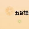 五谷馍坊视频（五谷馍坊加盟）