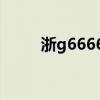 浙g66666是谁的车（浙g66666）