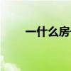 一什么房子填量词（一什么音乐厅）