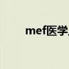 mef医学上是什么意思（mef细胞）