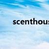 scenthouse香水价格（scenthouse）