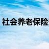 社会养老保险查询余额（社会养老保险查询）
