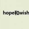 hope和wish的区别 hope和wish如何区分