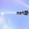 net是什么网站（net是什么）