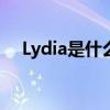 Lydia是什么意思英语（lydia什么意思）
