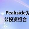  Peakside为Fund III购买14个强大的德国办公投资组合